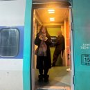 레드 써클 | [카디널레드] Dimmie 디미백 스웨이드 소프트브라운 내돈내산 후기 (feat. 단점 .. )🤎