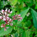 아름마을 이미지