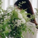 오브포레