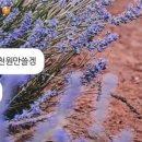 은현 스테이 이미지