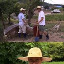 백년손님 이미지