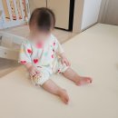 함평나비(무안) | 용산 국립중앙박물관 어린이 박물관 / 함평 나비축제 / 무안 회산백련지 / 맥시코시 카시트 셀프 청소