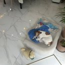 기분좋은날미용실 - 청도군 금천로 23 | 기분좋은날미용실