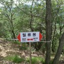 산드레 이미지