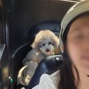 우도바이크정비