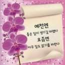 돌아와 - 박우철 / 나훈아 - 잊을수가 있을까 /바람 바람 바람 이미지