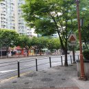 누리꿈이비인후과의원 | 도트타이머 개발자의 백신 접종 후기, 화이자 접종 후기, 1차 접종 후기, 백신 접종 후기