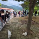 테마파크 이미지