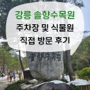 강릉 솔향수목원 주차장 및 식물원 직접 방문 후기