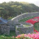 내고향풍천장어 이미지