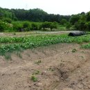 나가지농장 이미지