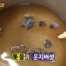 동원분식 이미지