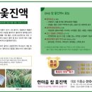 한마음참옻진액