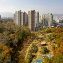 포레스타 이미지