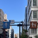 백송크리닝 | [TOKYO Day1] 일본 도쿄 여행 | 나리타 공항 제3터미널&amp;스카이 라이너 | 아키하바라 더 투어리스트 호텔...