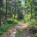 드르니 민박 이미지