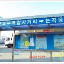 목감IC주유소 티스토리