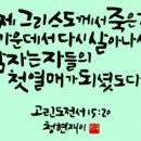 캘리그라피 활용 이미지