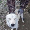 쌍림면 노인회관 이미지