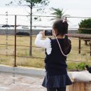 대정읍 어촌계창고 | 제주 아이와 가볼만한곳 돌고래 스팟 일과리 이색적인 카페 까지