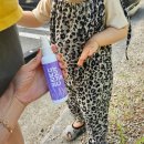 시너지웍스(주) | 가을모기퇴치제추천 모스노바 모기기피제 이카리딘스프레이