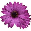 인터넷 기초 이미지