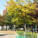 석천공원 이미지