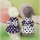 내사랑 강아지 이미지