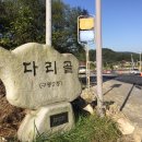 구룡2통 이미지