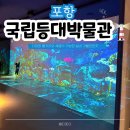 등대마을지역아동센터 | 하루 코스로 딱! 포항 국립등대박물관으로 실내 여행