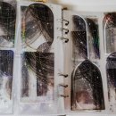 가이아펫 이미지