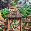 주주팜 티스토리
