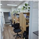 수내수학학원 다올 수학교습소에서 만난 새로운 공부의 길