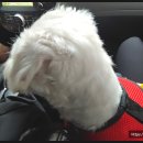 청계종합동물병원 이미지