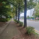 누른말공원 네이버블로그