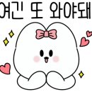 용수네정육