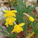 2019년 스포츠토토 판매점 정기교육 안내입니다. 이미지