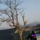 감나무집할배네 이미지