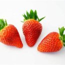 딸기짐 이미지