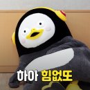 대형애견 이미지