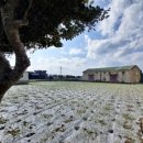 하모3리 마을회관 이미지