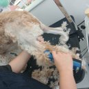 미용해·독 이미지