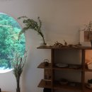 생활양재 이미지