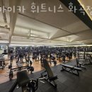 자마이카 휘트니스 이미지