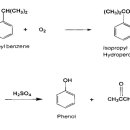 페놀(phenol) 이미지