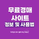 직접 시작해보는 부동산 경매 입문부터 실전까지 | 무료 경매 사이트 정보 장단점 꿀팁 총정리