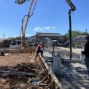 일로로이 이미지