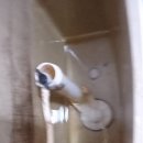 장원 모텔 이미지