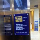 주차12 | W. 웨딩홀 (12) 엘타워 하객 후기 :: 오르체홀 · 주차 · 코스