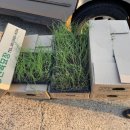 부농원 농약사 이미지